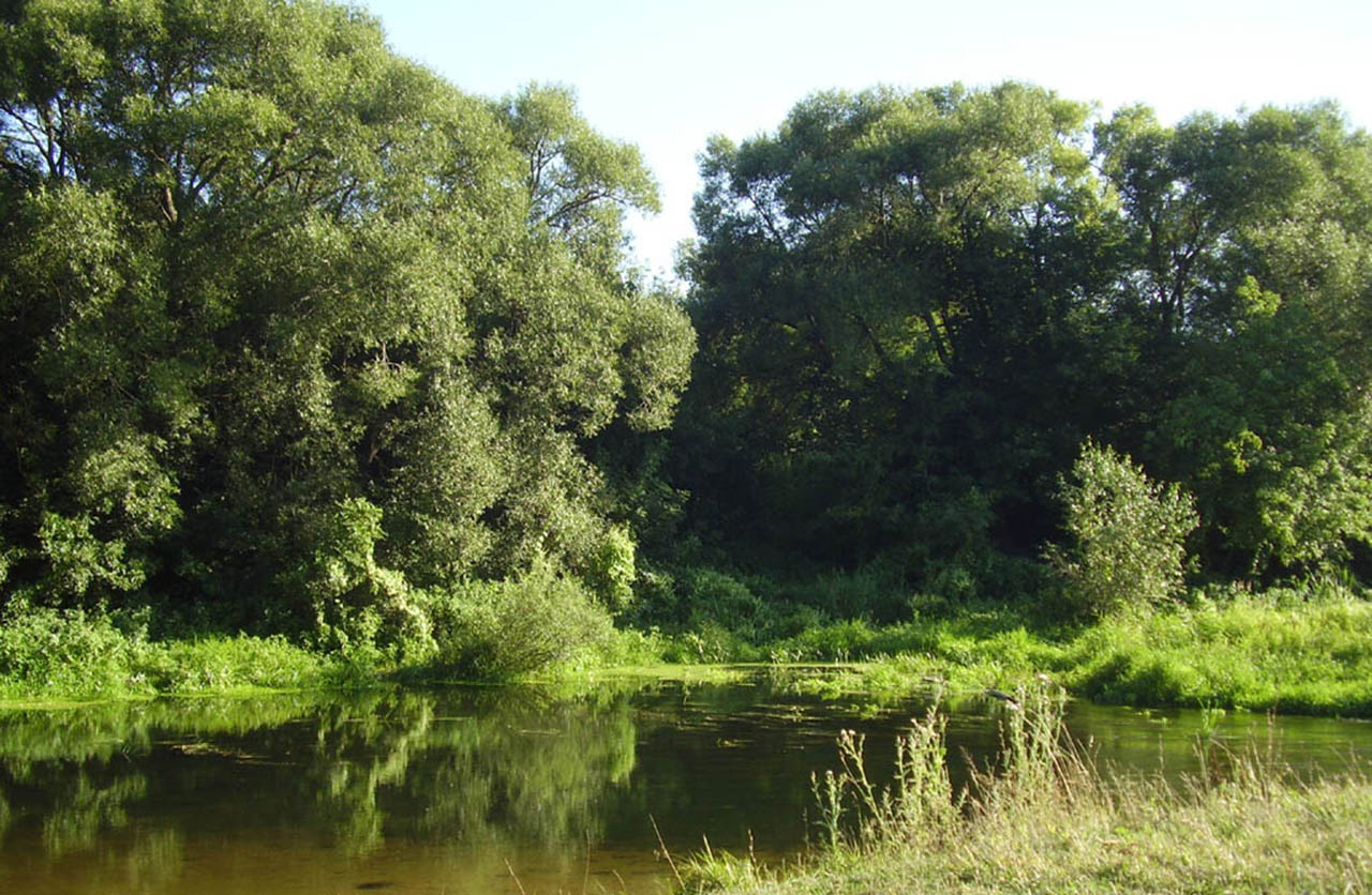 Аткарские места на реке Медведица