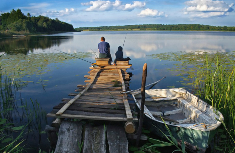 Пруды и озера Саратовской области с бесплатной рыбалкой