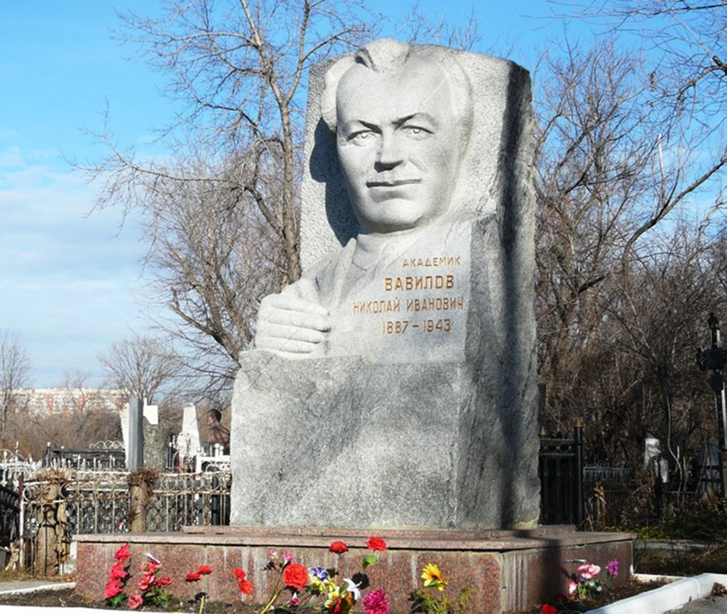 Памятник Н. И. Вавилову на Воскресенском кладбище