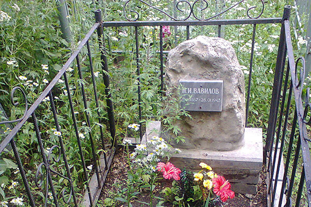Памятник Н. И. Вавилову на Воскресенском кладбище