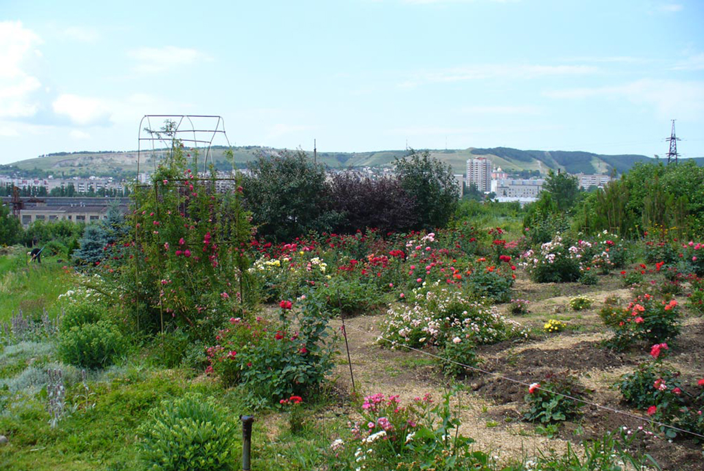 Ботанический сад Саратовского государственного университета