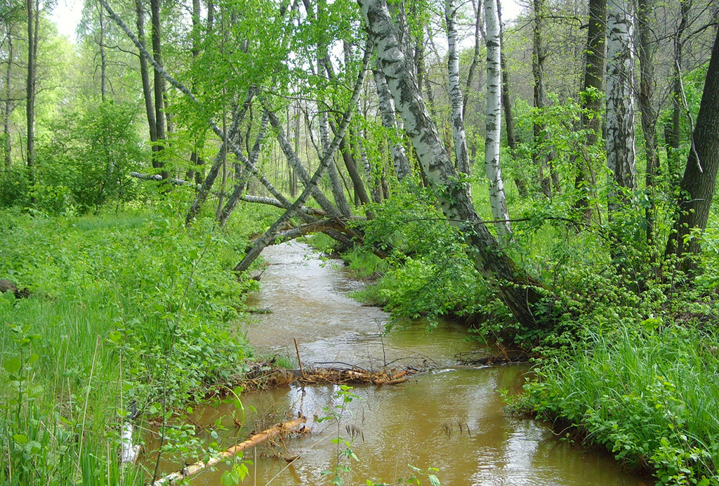 Река Соколка