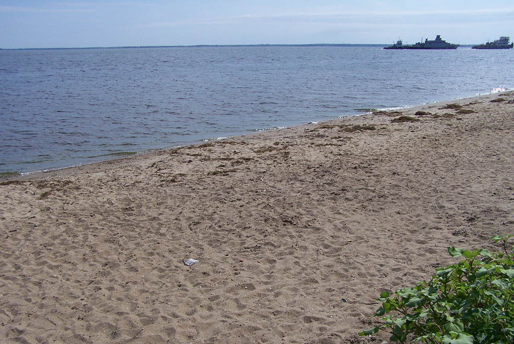 Городской пляж в Хвалынске
