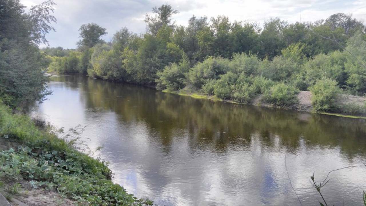 Река Гнилуха