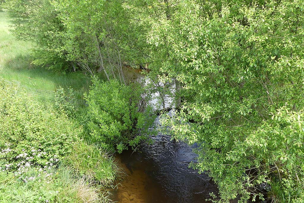 Река Грязнушка