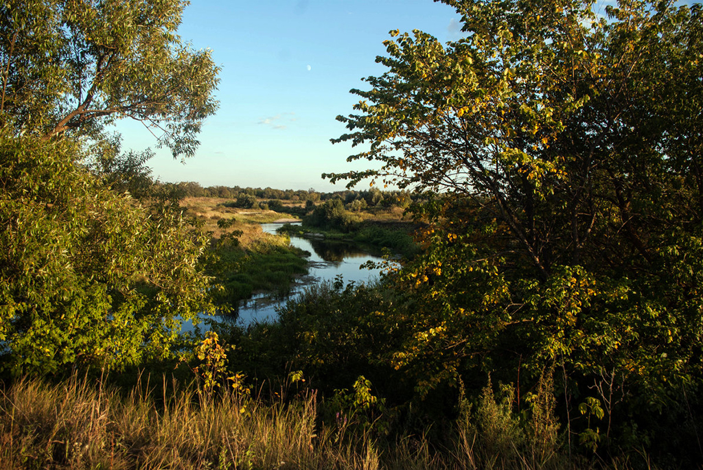 Река Сердоба
