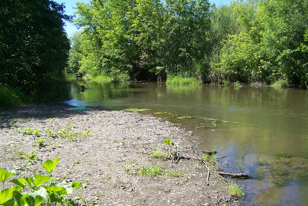 Река Кочетная