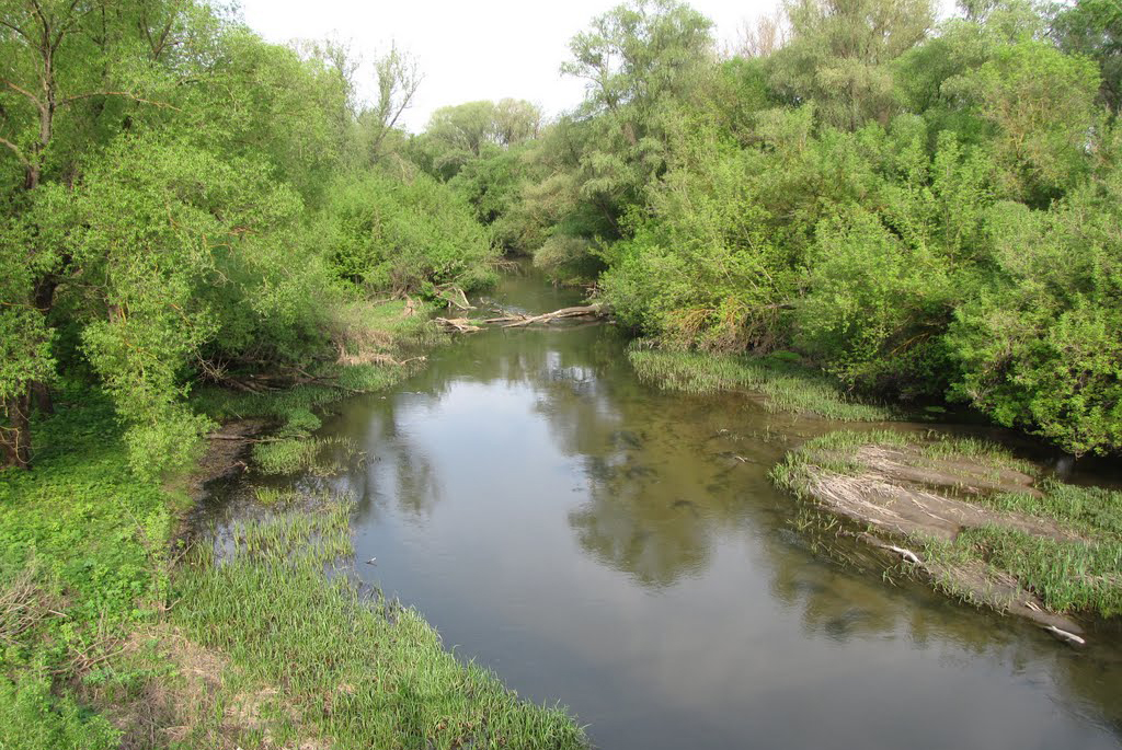 Река Ключевка (Леляйка)