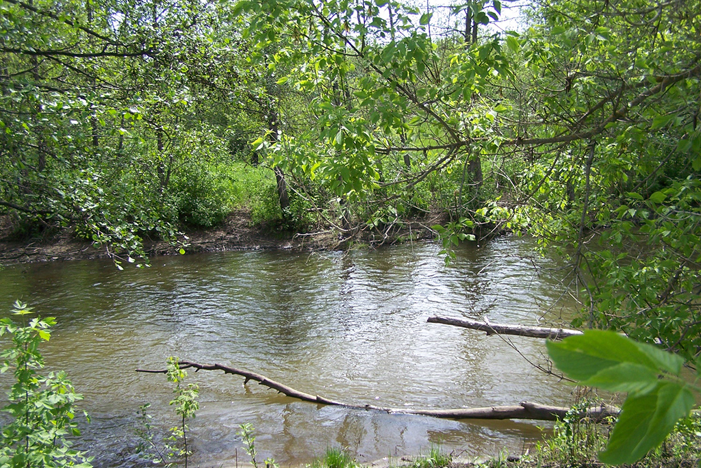 Река Чечуйка