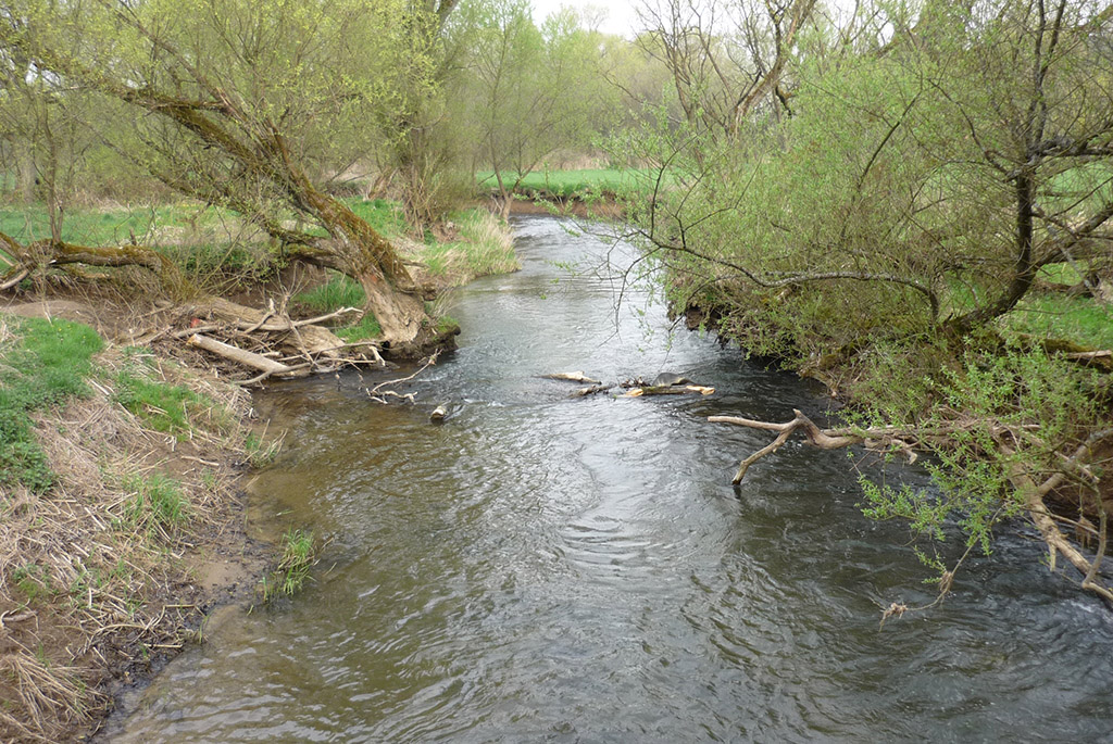 Река Малый Колышлей