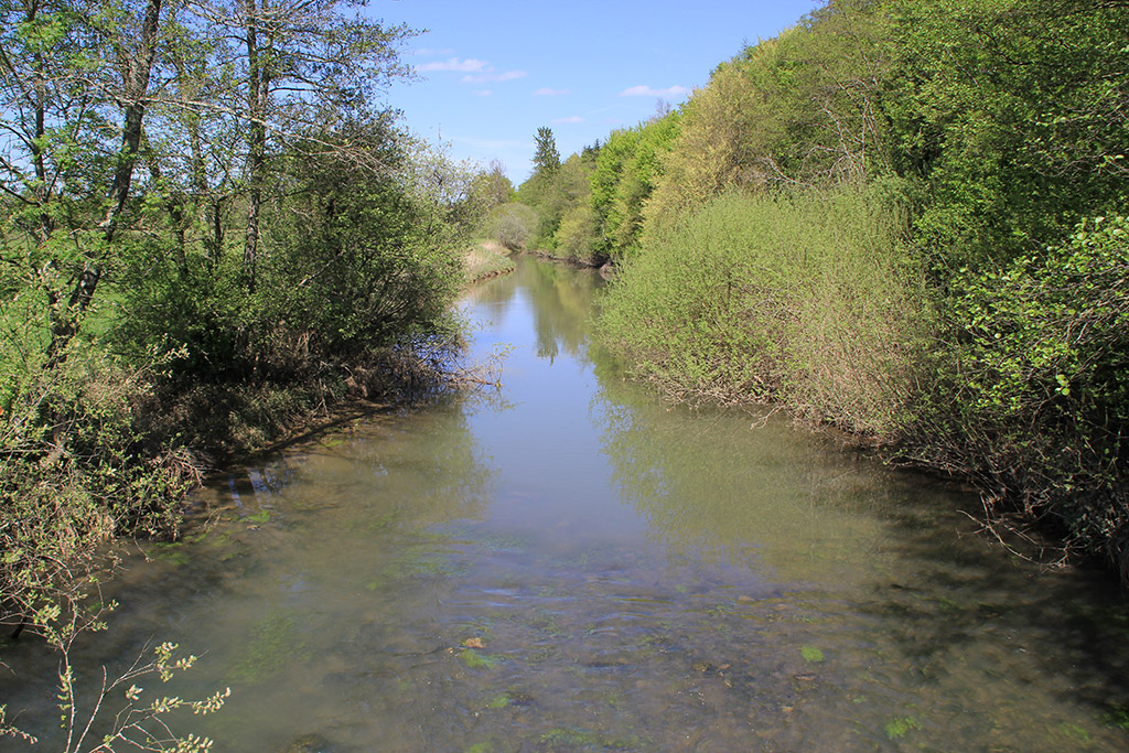 Река Суслы