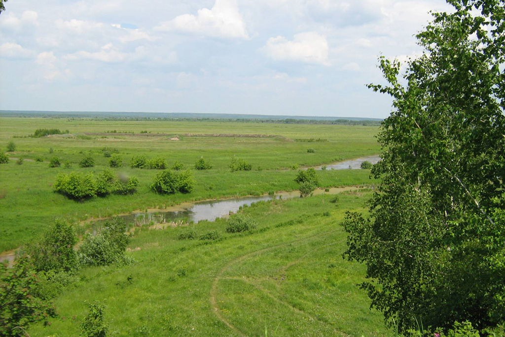Река Берёзовка (приток Терешки)