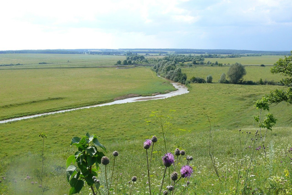 Река Берёзовка (приток Терешки)