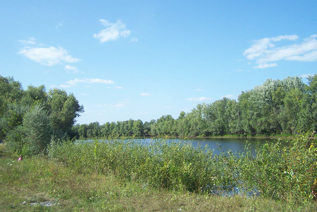 Река Березовка (Волжская протока)