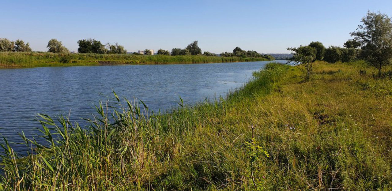 Река Таволожка (приток Медведицы)