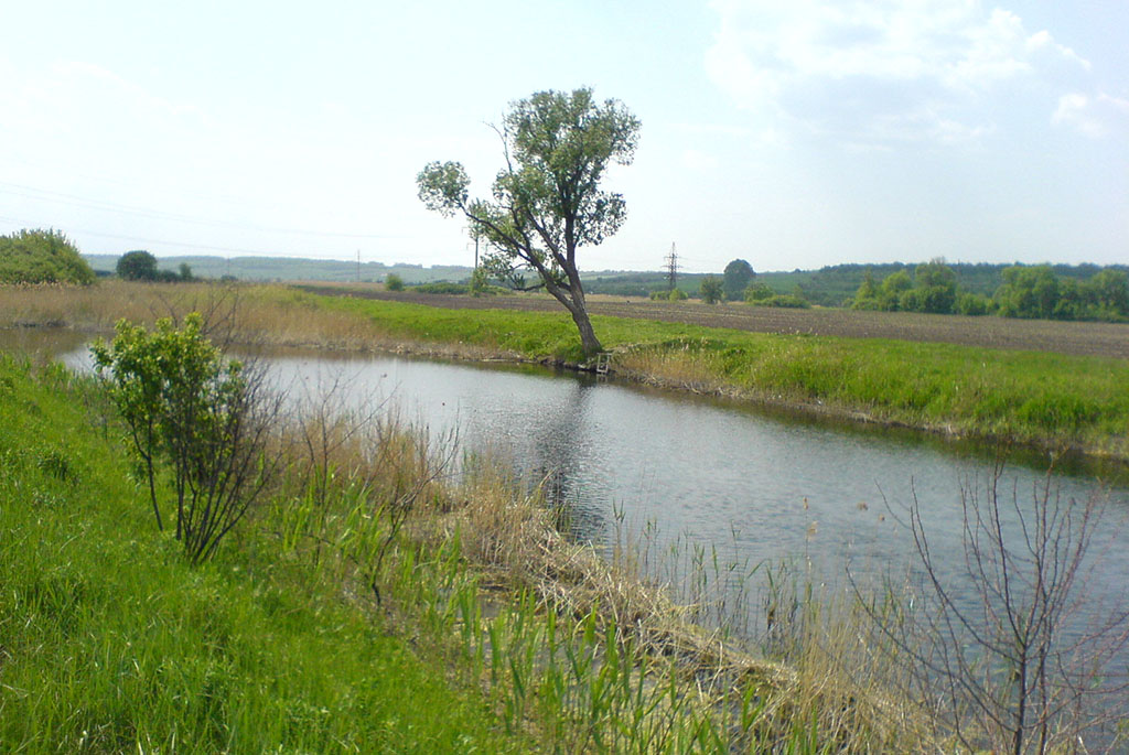 Река Таволожка (приток Медведицы)