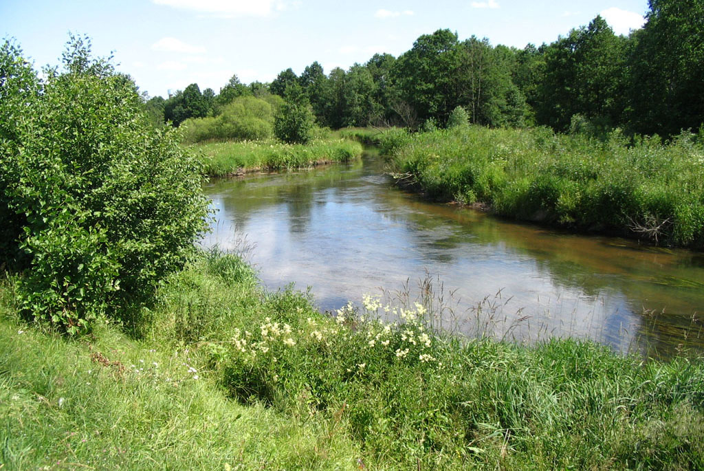 Река Мокрая (приток Озерки)