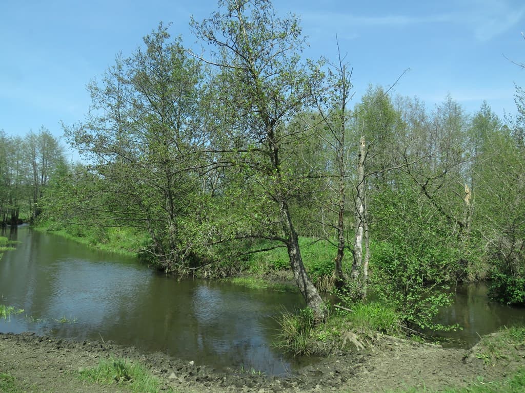Река Лошок