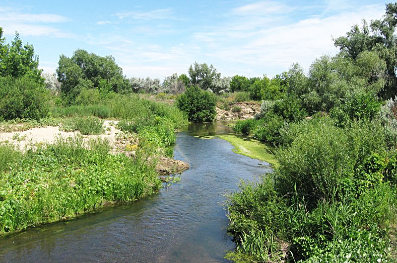 Река Чардым и река Сокурка
