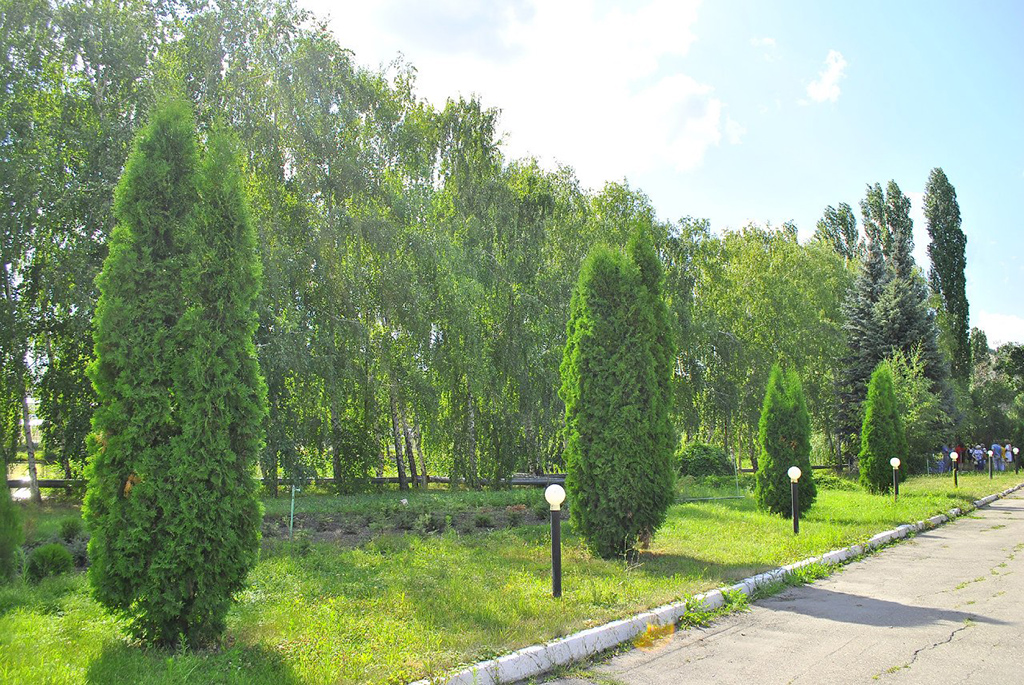 Экстрим-парк в Корольковом саду