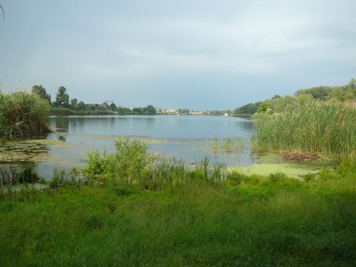 Тинь-Зинь озеро Сазанка