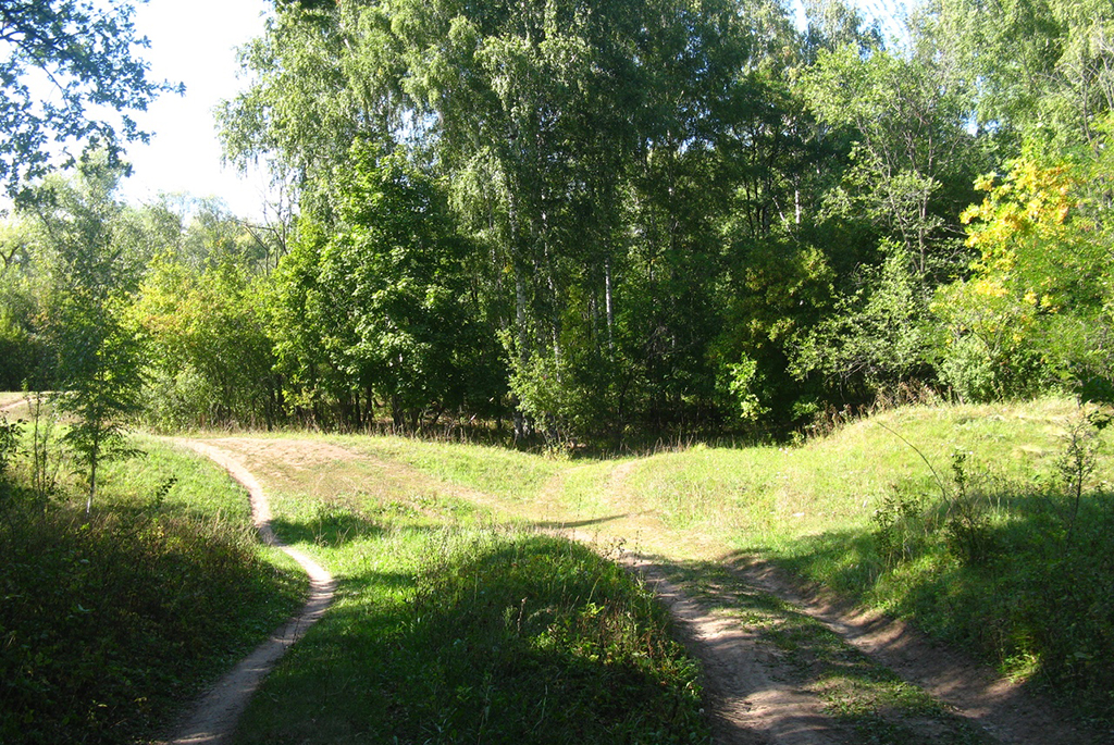 Ставский лес или лесопарк Тинь-Зинь