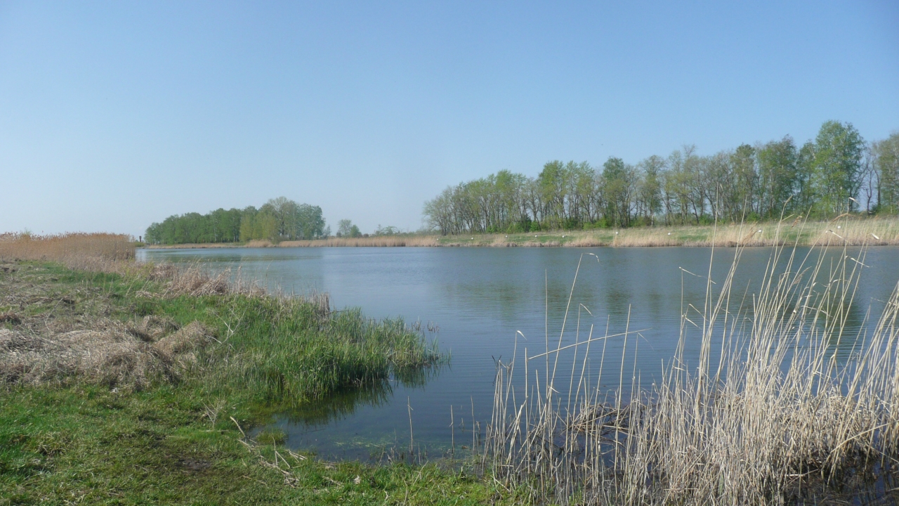 Лёвин пруд (Новиковский)