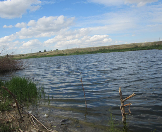 Водохранилище на реке Мечетка